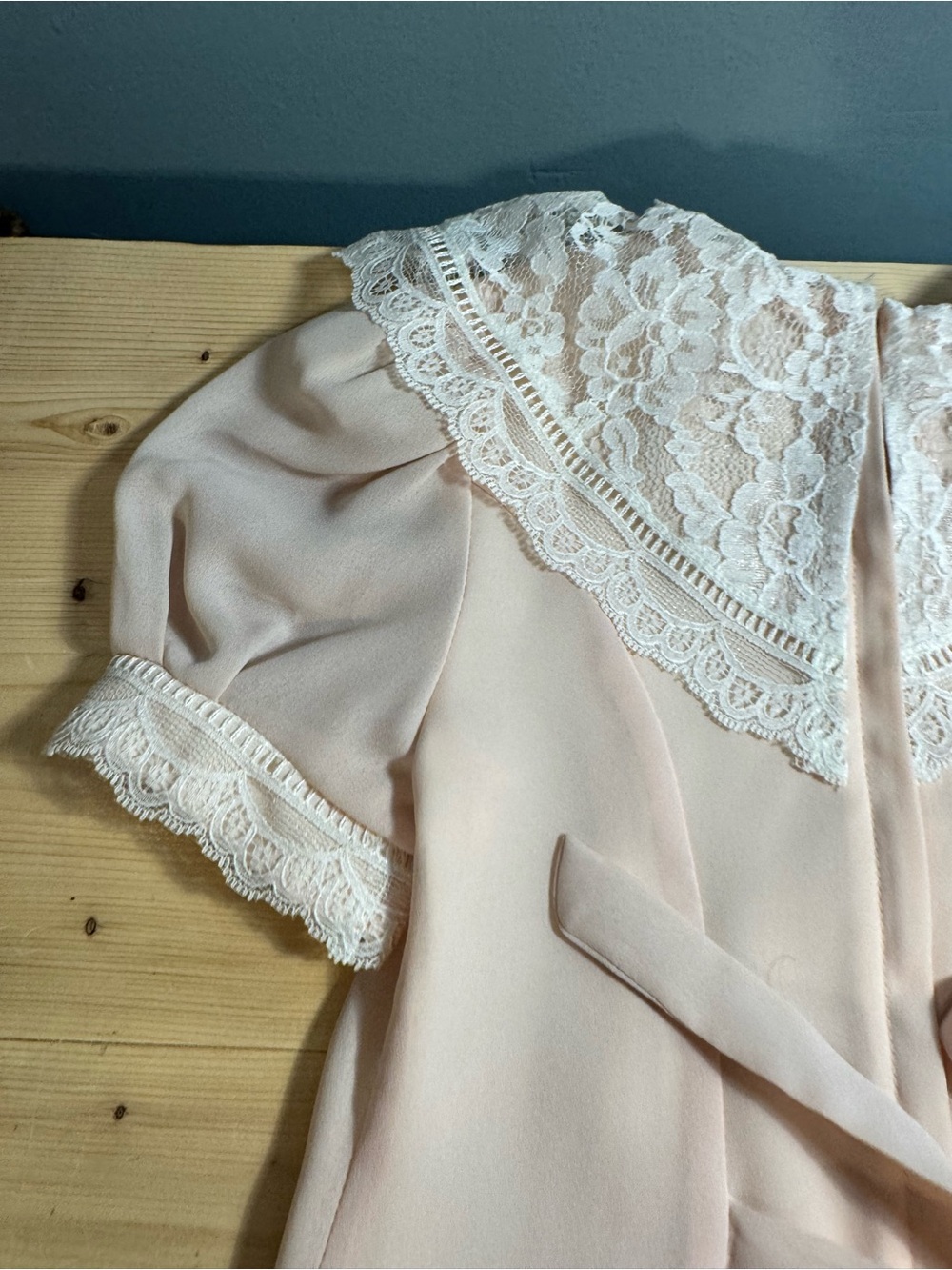 JESSICA MCCLINTOCK Delicate Blush Lace Collar Dress - Picture 8 of 10